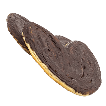 Palmera de chocolate